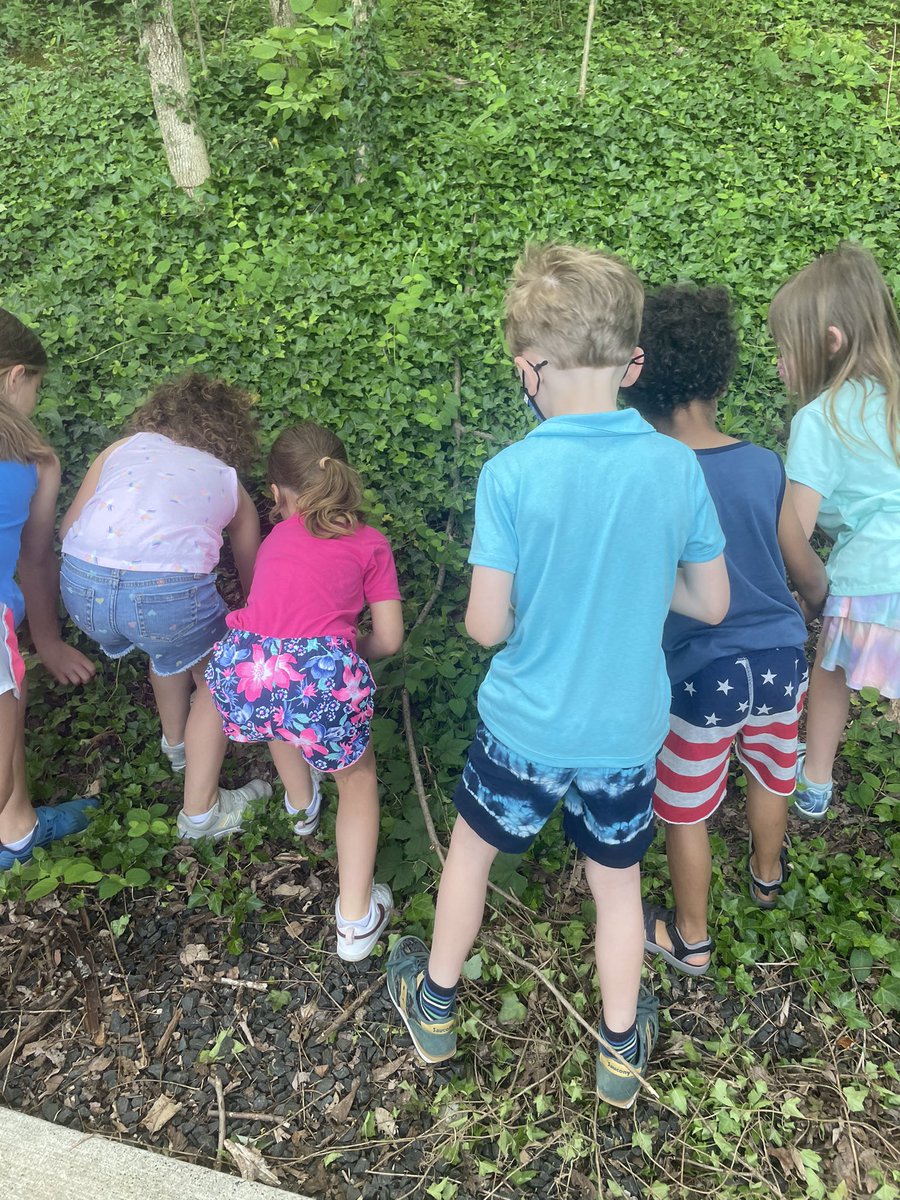 We made Native plant seed balls last Friday. Today we got to go outside and plant them with <a href="/CampbellOutside/">Amanda Lowenberger</a>