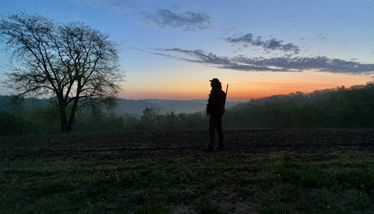 Joe Thomas tweet media