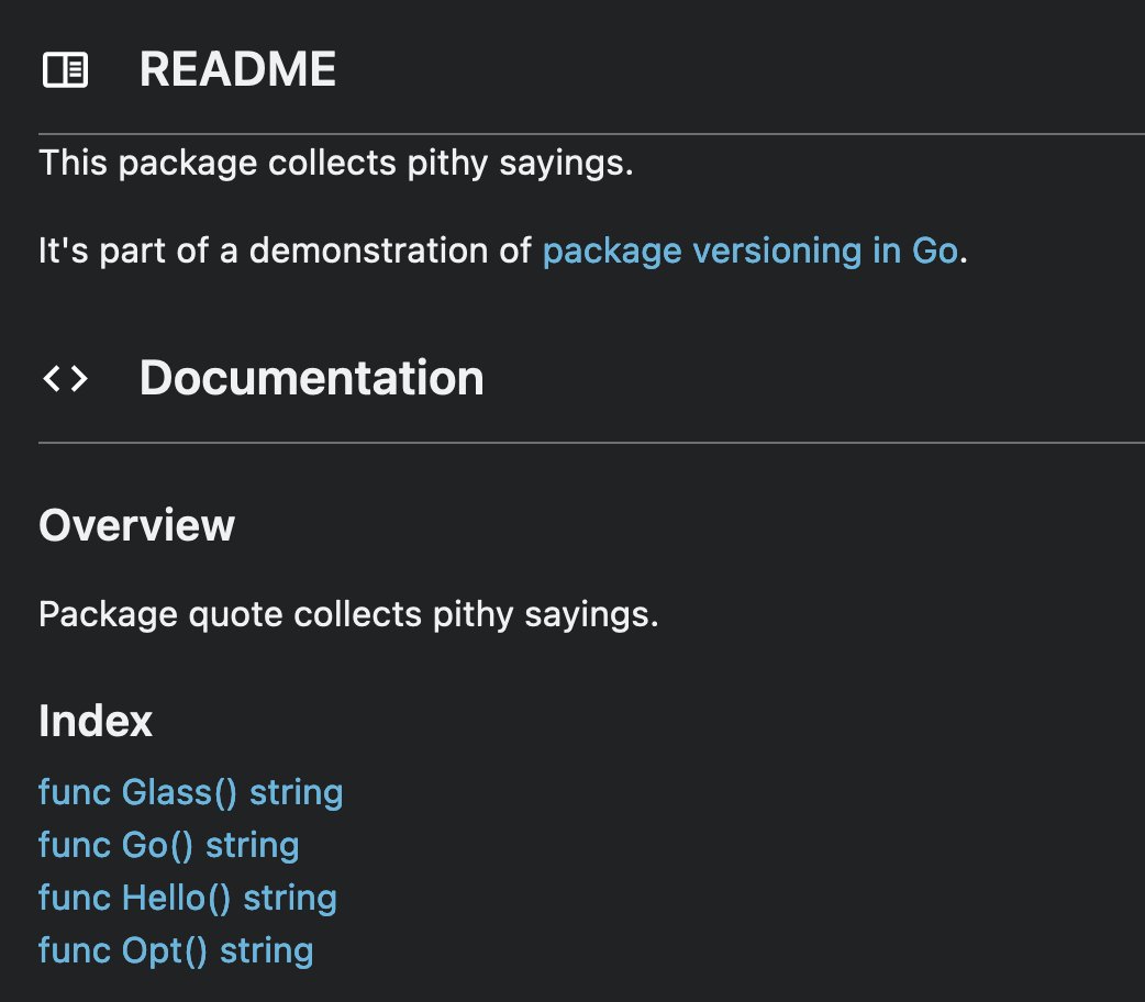 vkolgi's tweet image. As per documentation I will now try to import an external package. Like PYPI and NPM the packages for go are hosted in pkg.go.dev. I search for a quote package, gives random quotes. The doc page structure looks weird, not really optimized for readability. #learngo