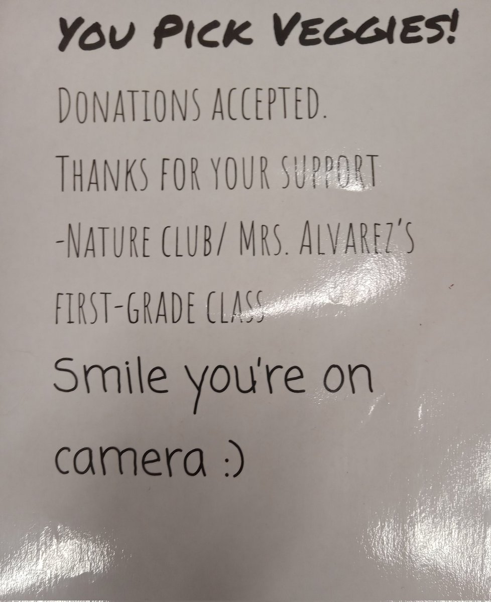 Do you need some fresh veggies this summer? Help yourself to our garden!