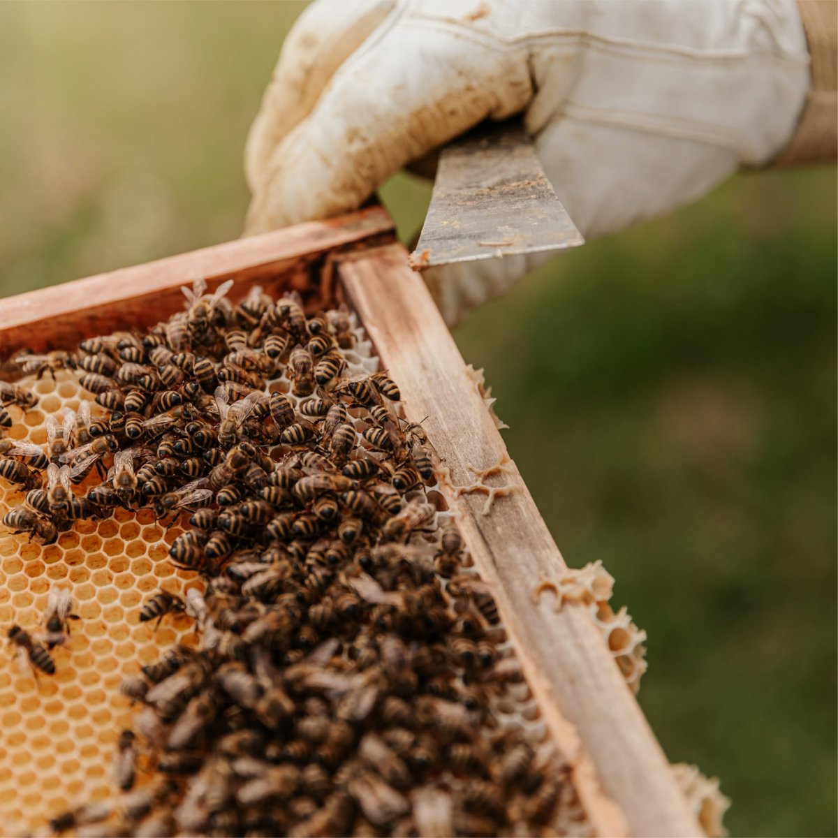 Fundación Pronorte tweet media