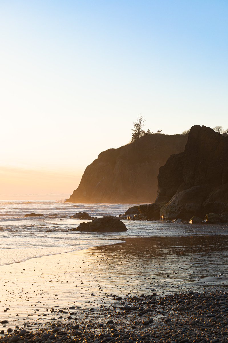 tabicusmaximus's tweet photo. PNW love https://t.co/5KDKgqPzsu