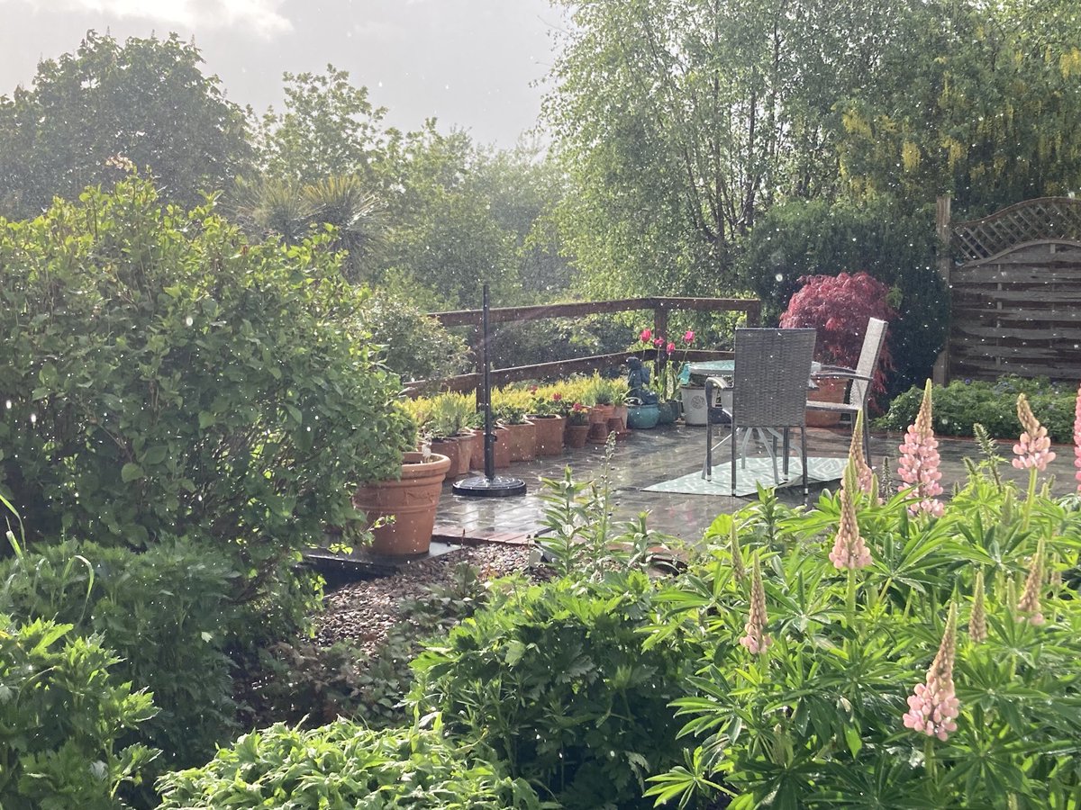 Kevin Foley tweet media