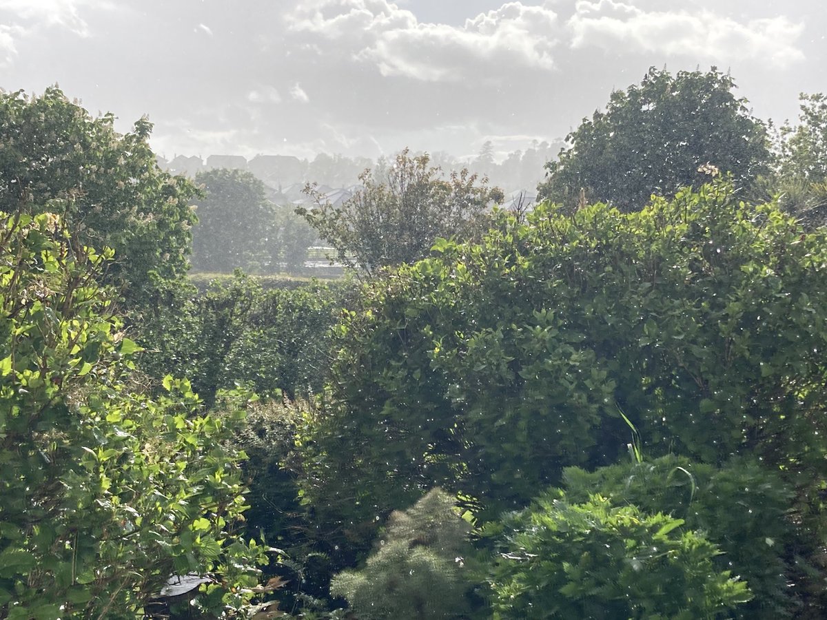 Kevin Foley tweet media