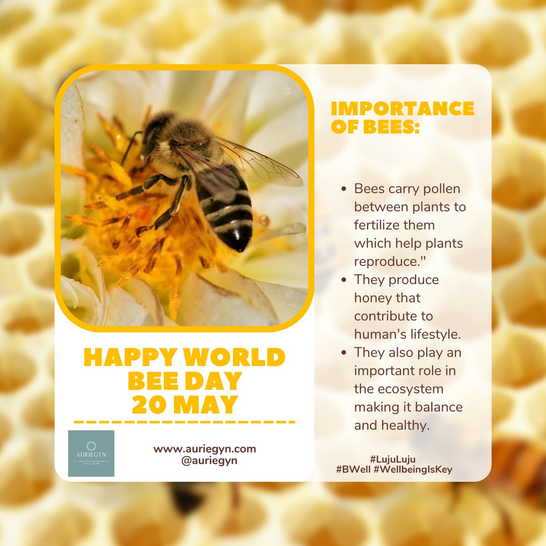 Happy world 🐝 day #LujuLuju 

#BWell #WellbeingIsKey #WorldBeeDay2022