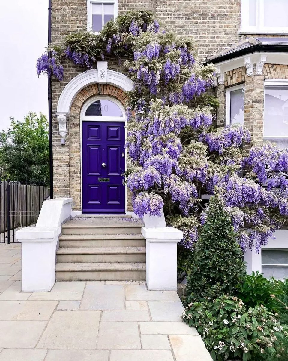 AllRoundFun's tweet image. 💜💜💜Beautiful vibrant flowers!
@magnoliawalks 

 buff.ly/3cHw0pq