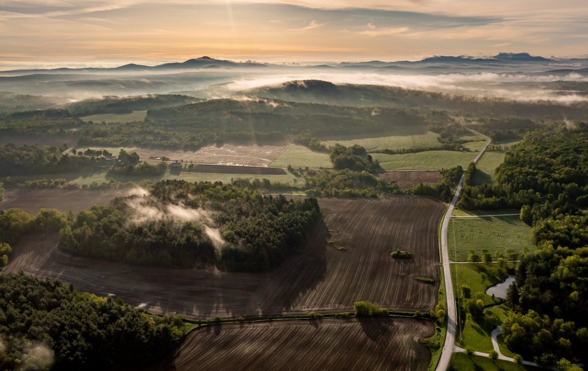 Robert Franklin tweet media