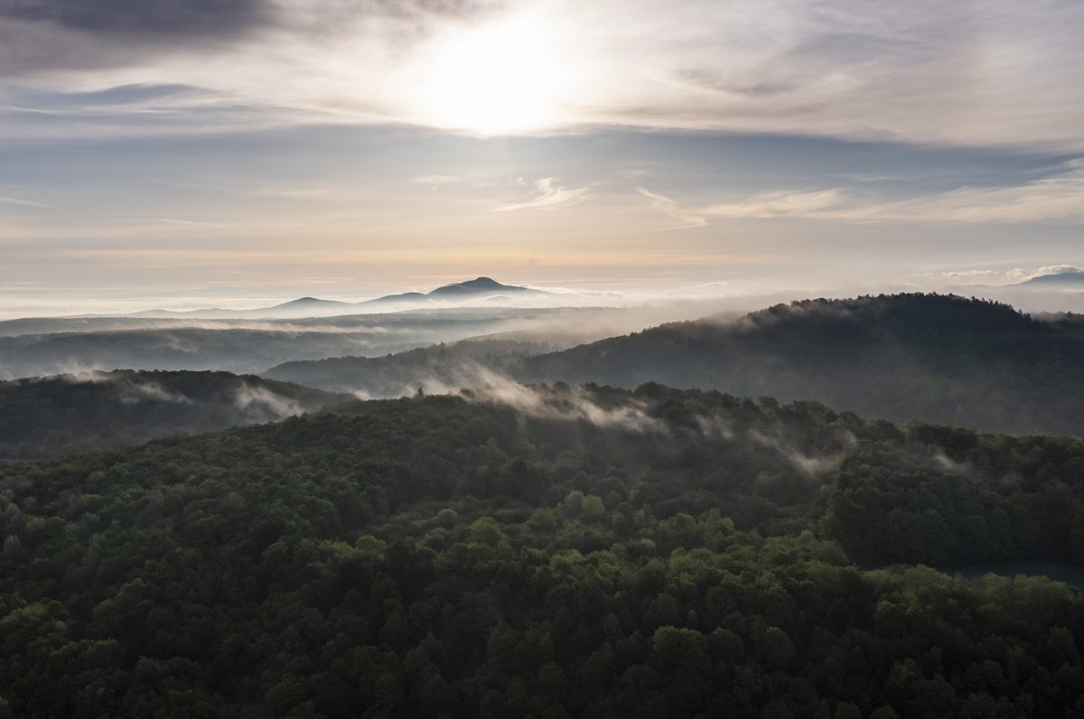 Robert Franklin tweet media