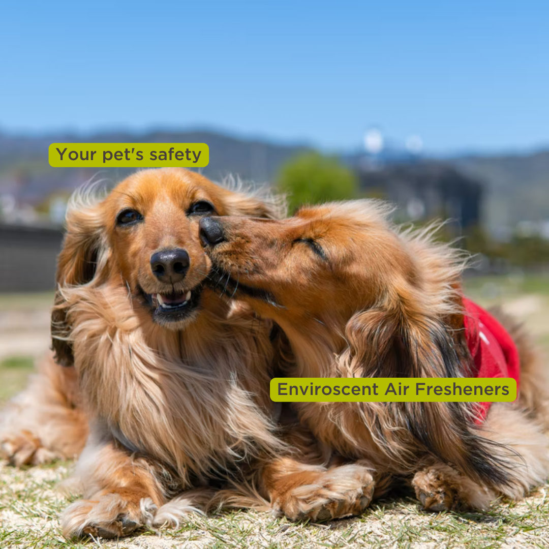 Enviroscent tweet media