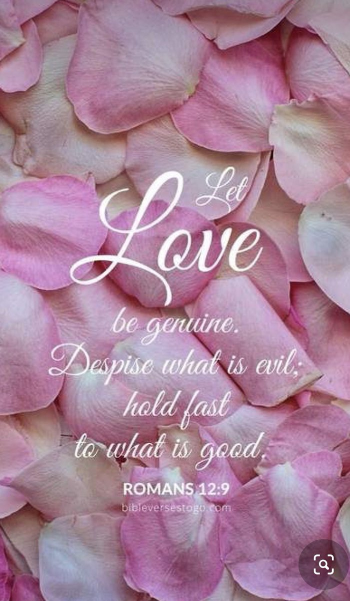 Patty Diener (@eastcoastluvr) on Twitter photo 