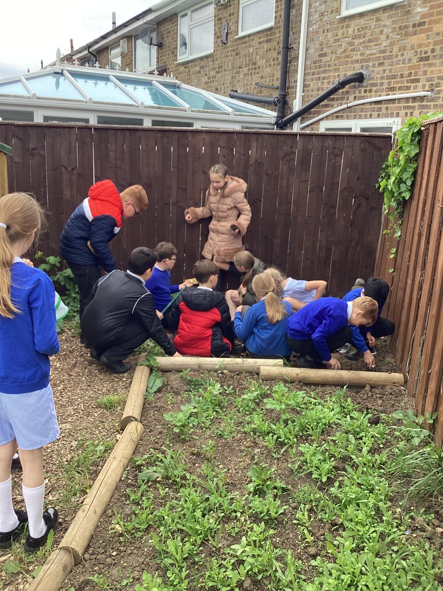 AcklamWhin's tweet photo. This afternoon, Year 5 have been enjoying the outdoor classroom. #outdoorlearningfun https://t.co/K7c3881LHa