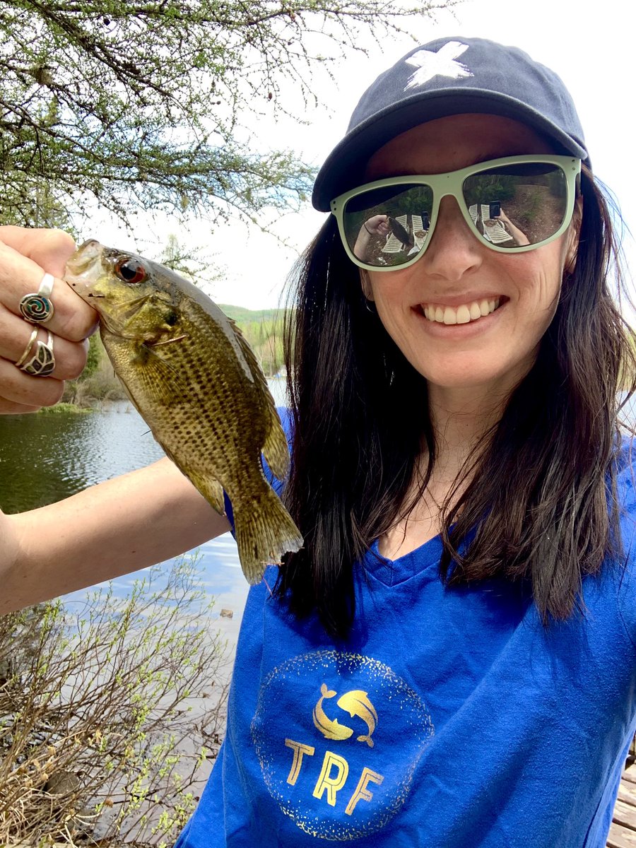 TRFisherwoman's tweet photo. A little bigger Rock Bass!
.
Follow @TRFisherwoman
Make Sure to Check out the TRF Collection!
.
.
.
.
#rockbass #bassfishing #rockbassfoshing #fish #lakefishing #summerfishing #womenfishing #womenfish #fishinggirls #huntress https://t.co/qPunp7x23w