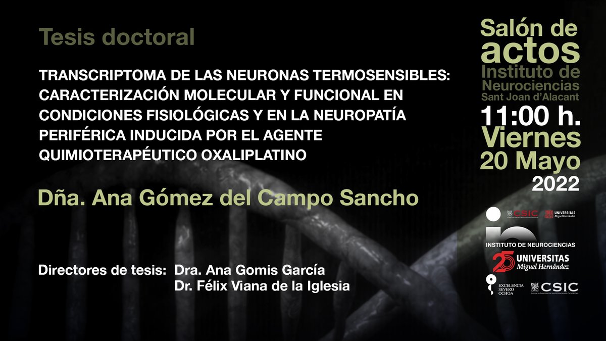 🎉Enhorabuena a la recién nombrada hoy Dra. Ana Gómez por su defensa de #TesisIN y enhorabuena a sus Directores de Tesis Dra. Ana Gomis <a href="/anagomisg/">Ana Gomis</a> y Dr. Félix Viana <a href="/neuroviana/">Felix Viana</a>!!🎉