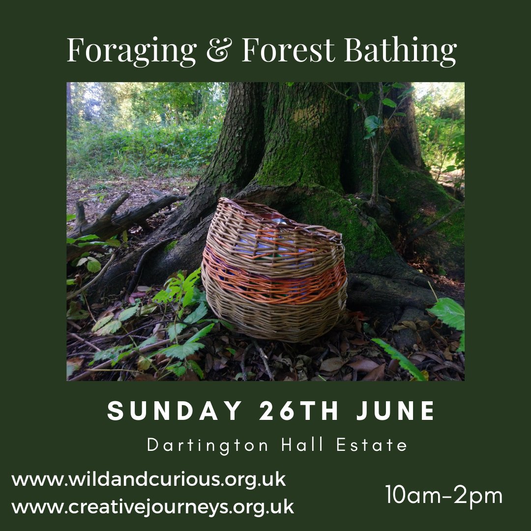 creative journeys tweet media