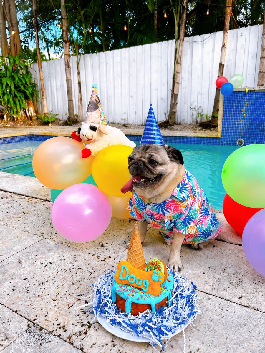 itsdougthepug's tweet photo. A DECADE OF DOUG! 🎉🎂🐾

Happy Birthday, Doug The Pug!!! RT if Doug has ever put a smile on your face. https://t.co/BaJfbY72Bb