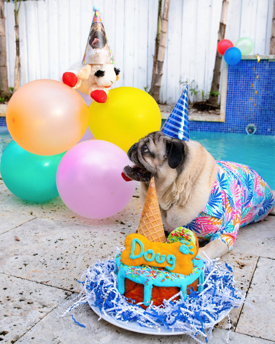 itsdougthepug's tweet photo. A DECADE OF DOUG! 🎉🎂🐾

Happy Birthday, Doug The Pug!!! RT if Doug has ever put a smile on your face. https://t.co/BaJfbY72Bb