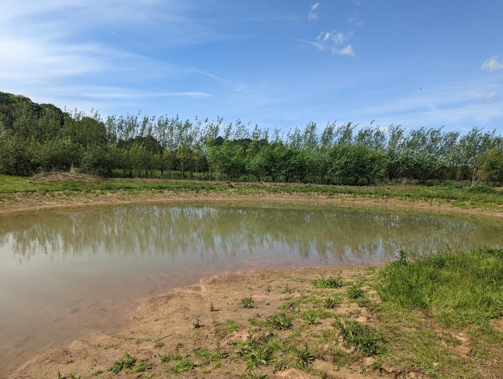 OliverHarmar's tweet photo. At a North York’s farm to see 5 new ponds for great-crested newts, all part of our new licensing approach to create habitat where newts and wildlife can thrive…and set within this stunning 74acre farmland being returned to woodland &amp; meadows. Beautiful. https://t.co/GONj13EKTA https://t.co/SCYgVInIS8