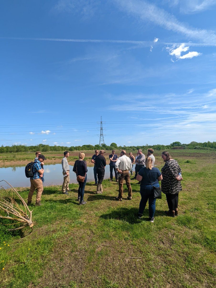 OliverHarmar's tweet photo. At a North York’s farm to see 5 new ponds for great-crested newts, all part of our new licensing approach to create habitat where newts and wildlife can thrive…and set within this stunning 74acre farmland being returned to woodland &amp; meadows. Beautiful. https://t.co/GONj13EKTA https://t.co/SCYgVInIS8