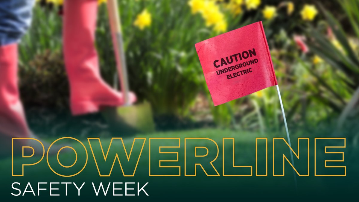 TorontoHydro's tweet image. It's #PowerlineSafetyWeek &amp;amp; we're reminding homeowners that powerlines could be buried on your property. 

If you're planning a project that requires digging, contact @ON1Call for a free locate to help you stay safe. 

Learn more: torontohydro.com/powerlinesafety