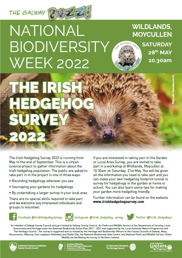 Irish Hedgehog Survey tweet media