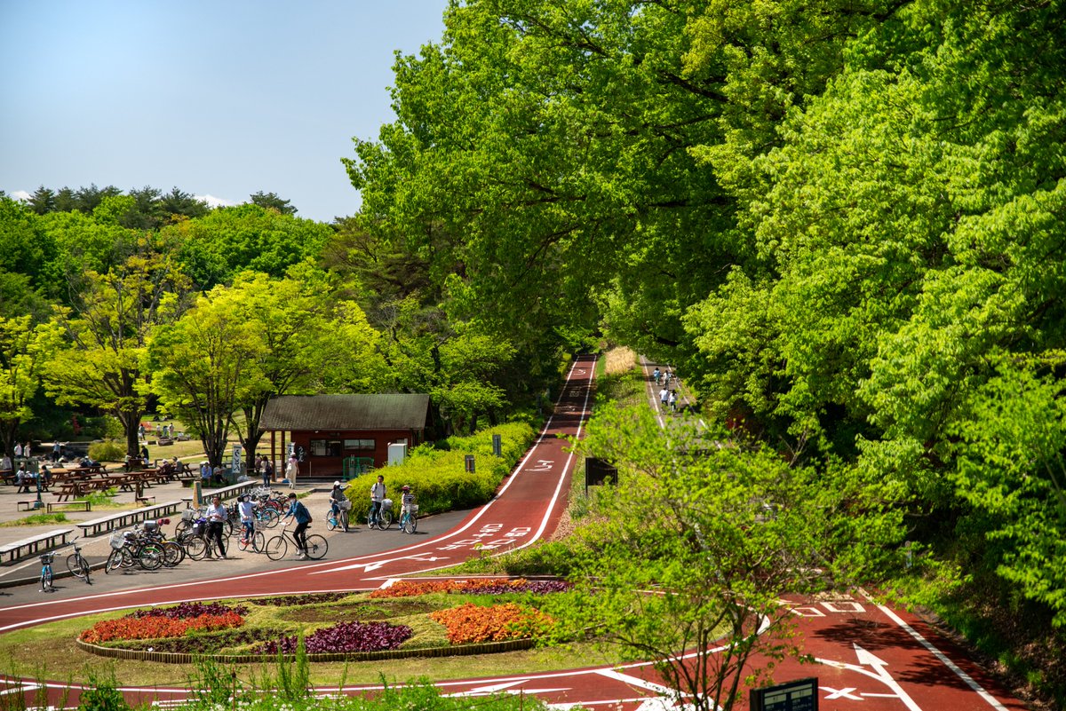 #写真 #写真好きな人と繋がりたい #写真撮っている人と繋がりたい 
#PENTAX

武蔵丘陵森林公園