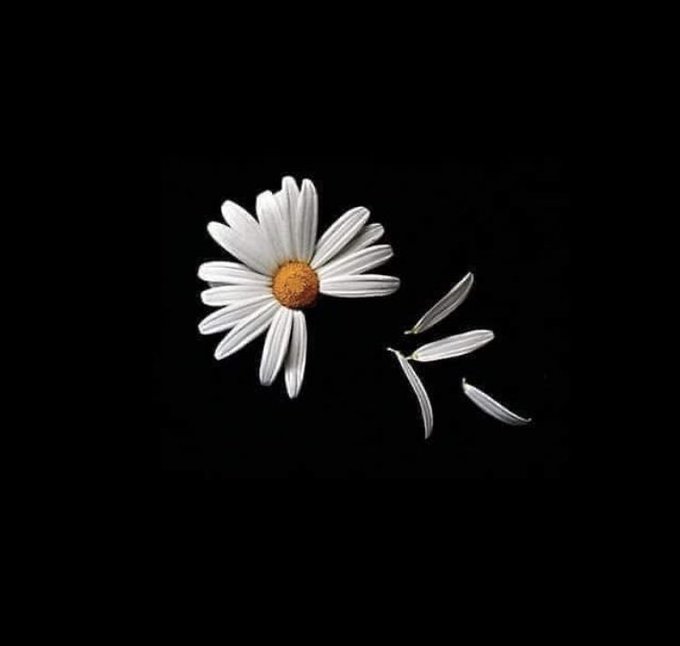 Verdad y justicia. Nunca más terrorismo de Estado