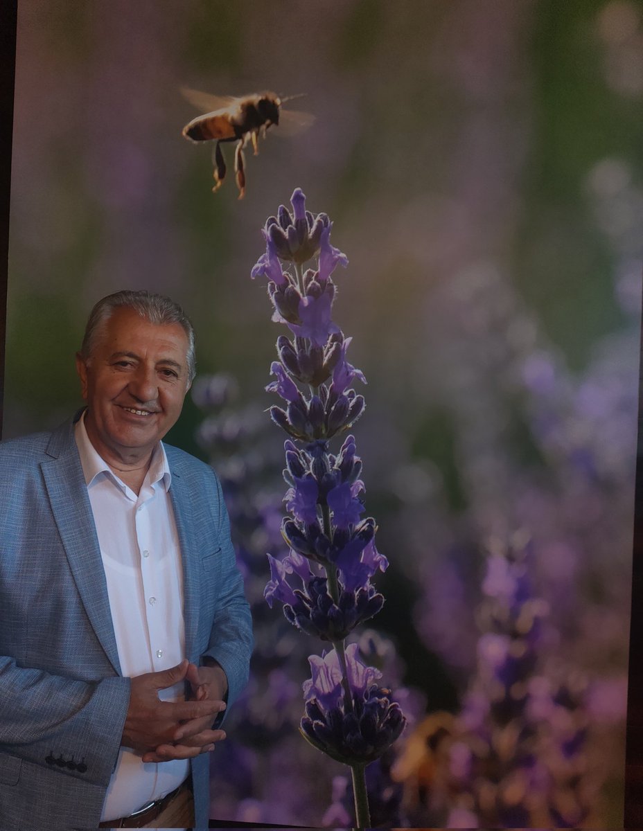 Lavanta Bahçesinde Arı evinde.Teşekkürler Afin Beldiye başkanım Mehmet Fatih Güven