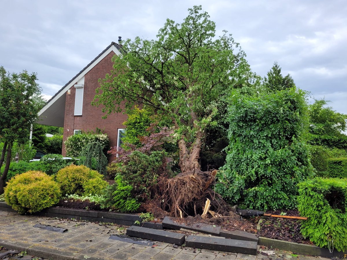 PXLERC's tweet image. #noodweer #limburg #spaubeek grote ravage #windhoos boom op het dak, dakpannen door autoramen en moterkap