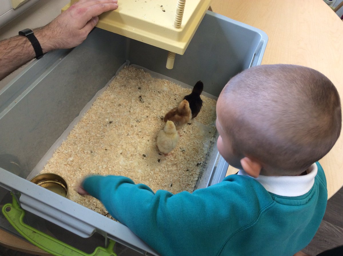 OVPSclass6 tweet media