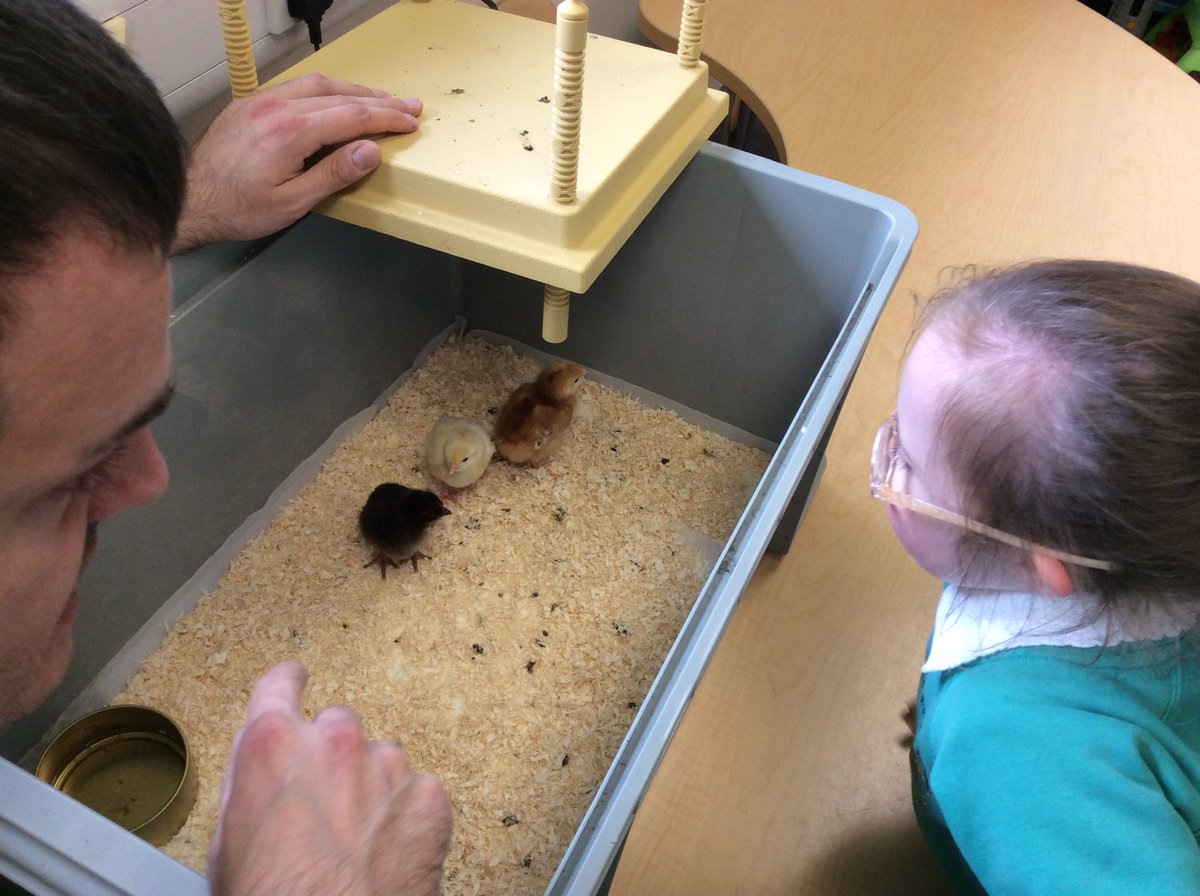 OVPSclass6 tweet media