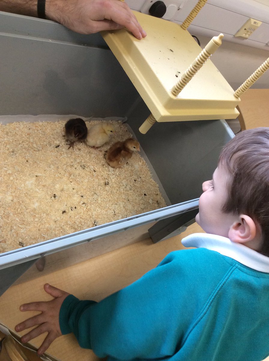 OVPSclass6 tweet media