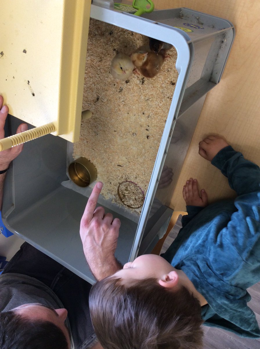 OVPSclass6 tweet media