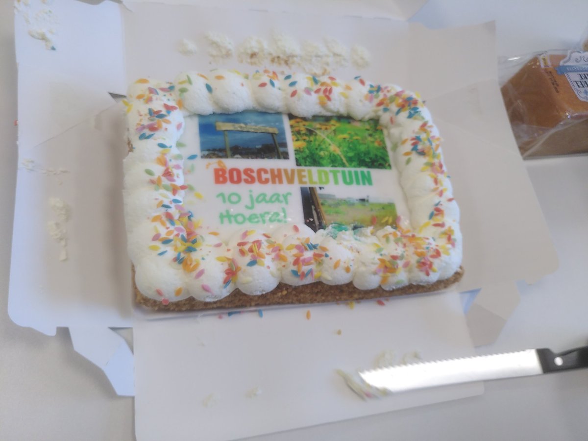 René Vonk tweet media