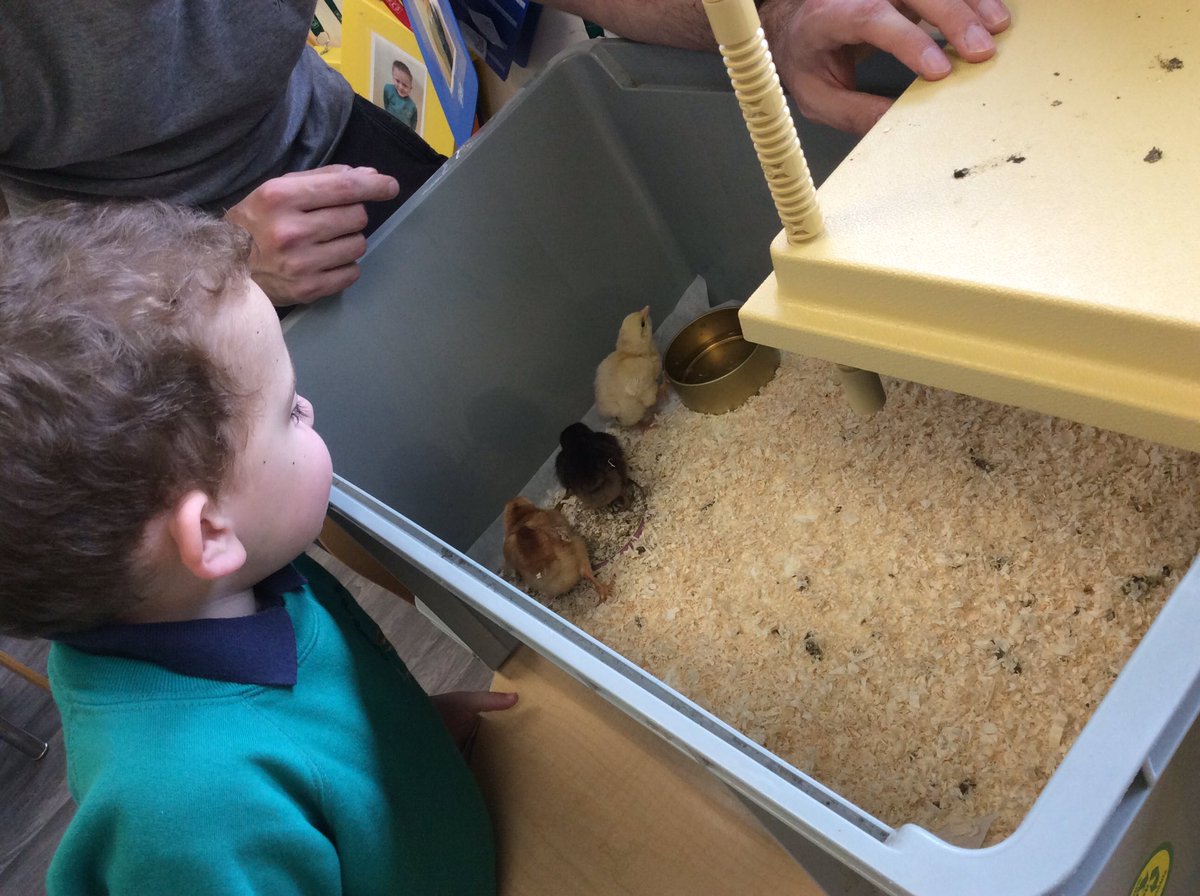 OVPSclass6 tweet media