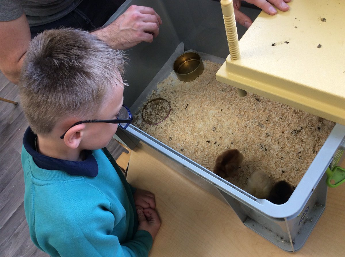 OVPSclass6 tweet media