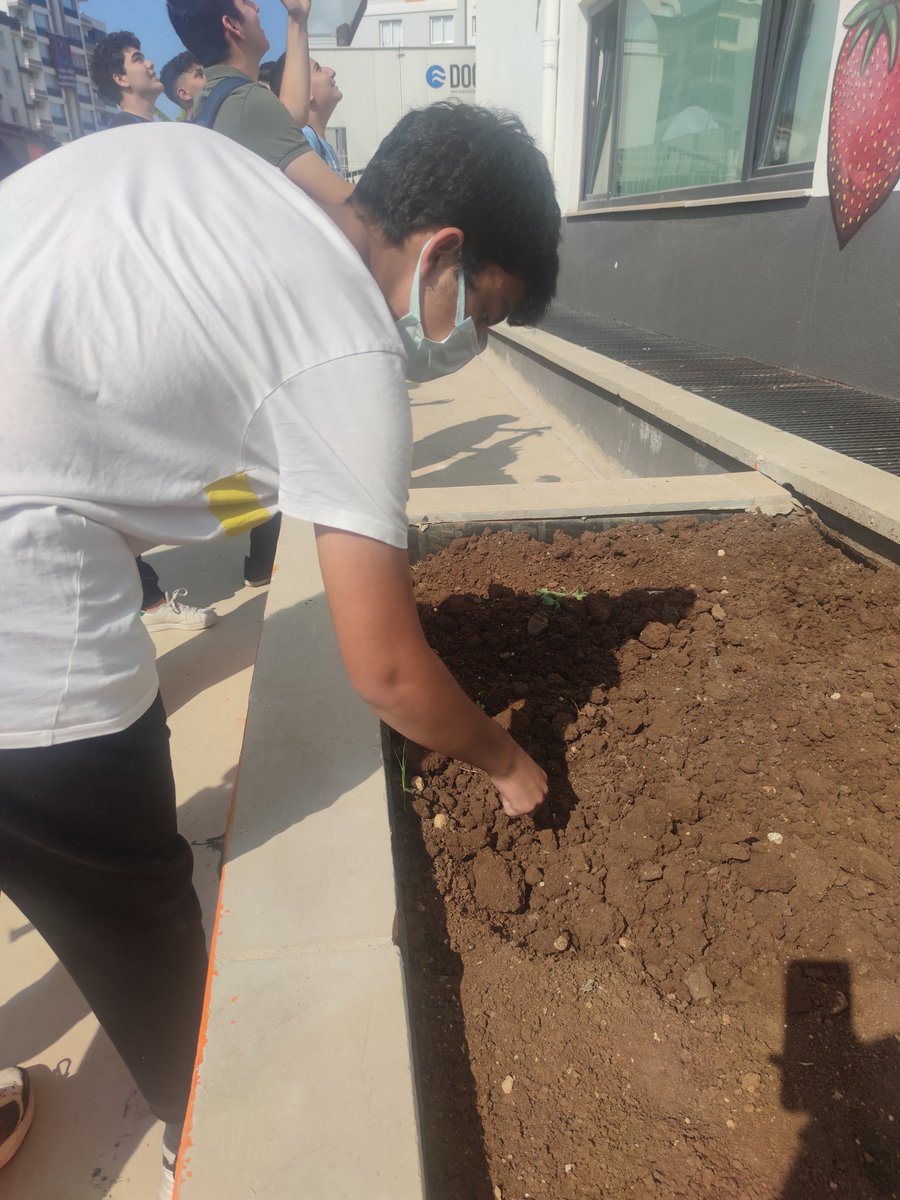 10. Sınıflar ile lale ekimi etkinligimiz. <a href="/cecemsimsek/">cem şimşek</a>