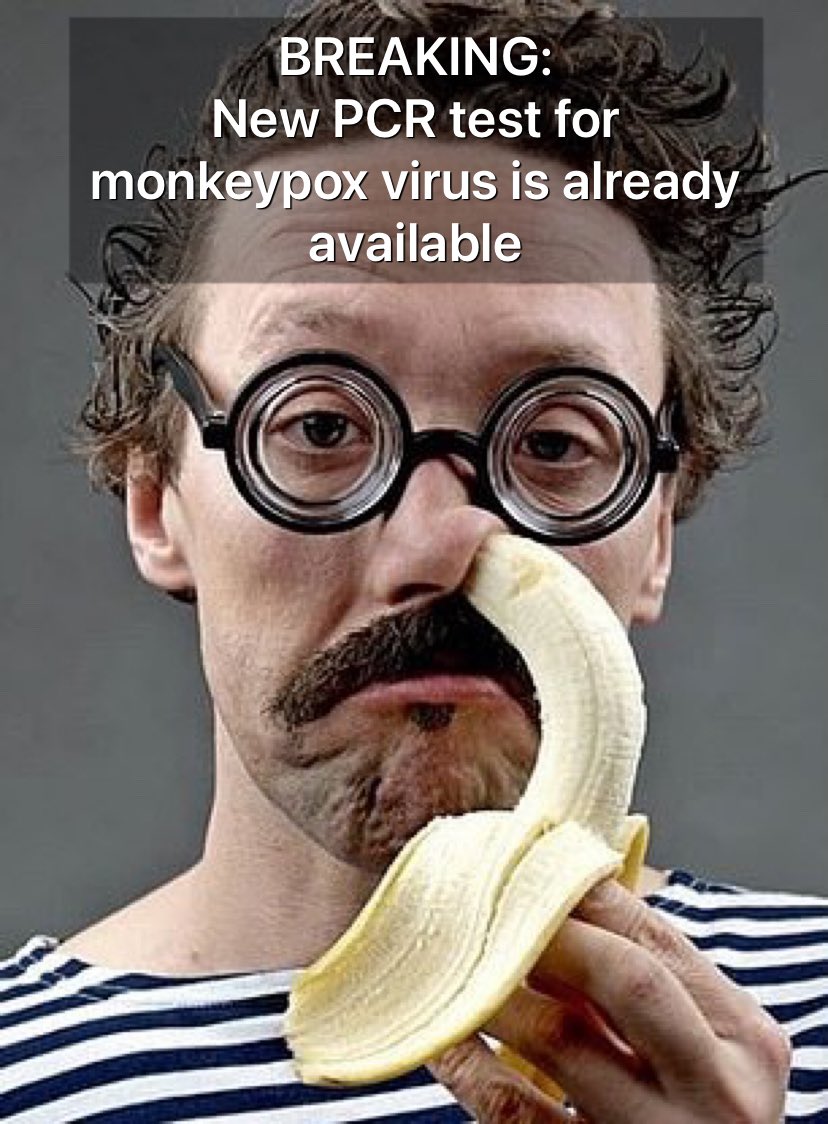 Steve_Zowietje's tweet photo. Yes 👍🏻 #MonkeypoxVirus #Monkeypox #monkeypoxpcrtest #meme #funny #banana #banaan #apenpokken #apenpokkenvirus https://t.co/OX3A59LRUD