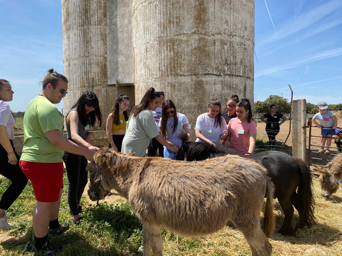 gregorioferva's tweet photo. Estupenda salida con #EducaciónInfantil a la Granja Escuela Las Cortas de Blas. Valoramos la importancia de la educación ambiental en el desarrollo integral de los niños y niñas. ¡Un día precioso que nos quedará en el recuerdo! @LasCortasdeBlas
#EDIN_GF
#EducaciónAmbiental https://t.co/mfz7i5GqDj