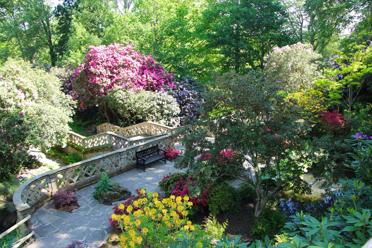 Hever Castle tweet media