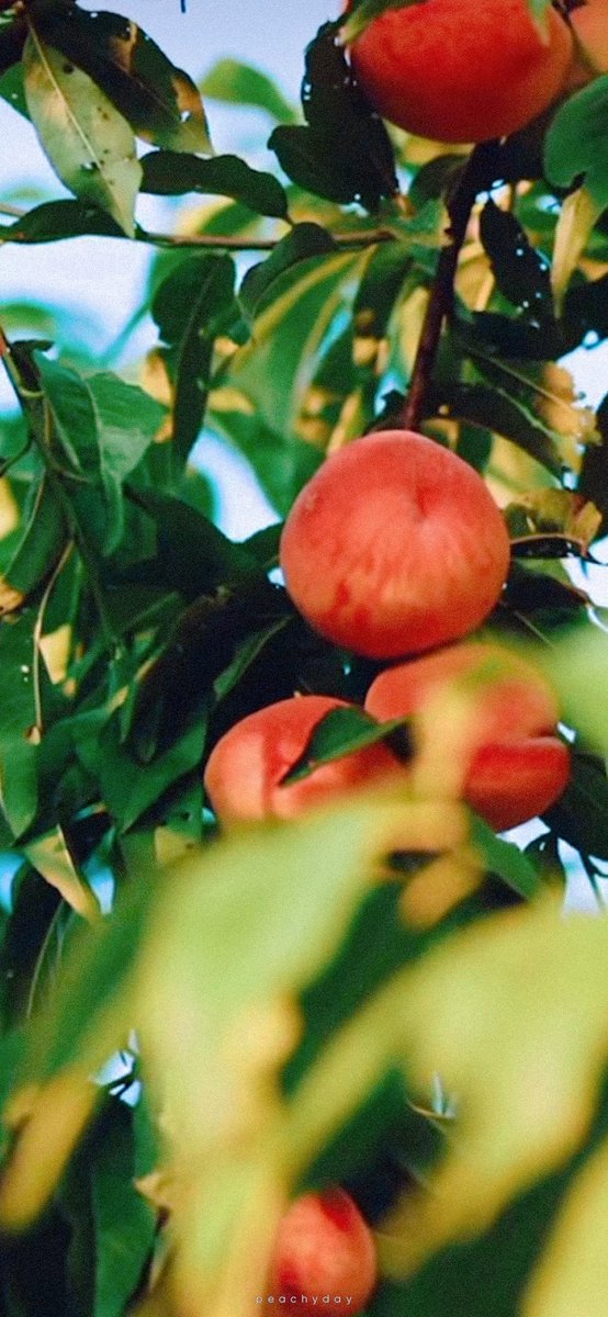 220520 | VOGUE KOREA
Jaehyun X Prada
폰 배경화면

#NCT재현 #JAEHYUN #재현