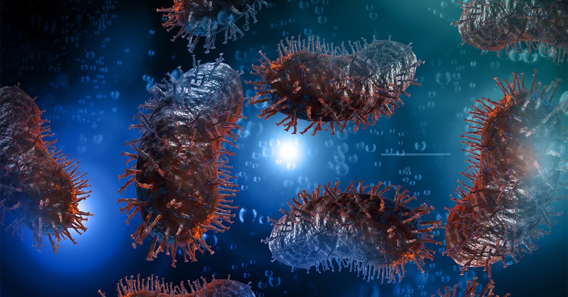 BISResearch's tweet photo. Bacteria,#viruses, #fungi, and parasites cause #infectiousdisorders. The human body has a large variety of such species. They're usually innocuous or even beneficial. In some circumstances, though, specific #microbes might cause #sickness. 

Read more: https://t.co/tkwJHin2iW https://t.co/7ysxdXQBzU