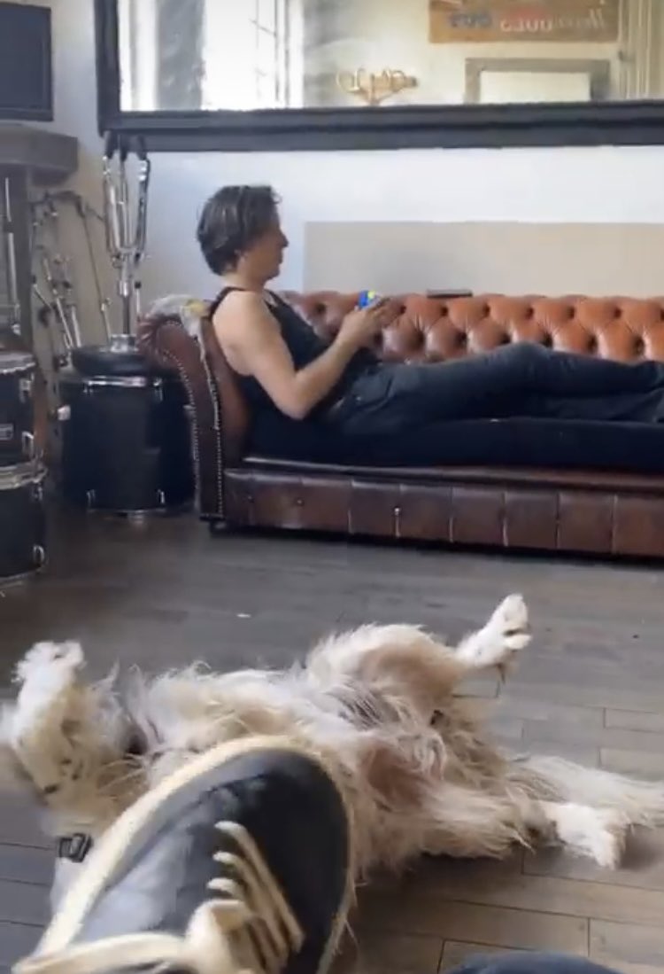 Carl_Barat_News's tweet photo. Rubik’s Cubes and belly rubs. Rehearsals in full swing (pics via @antmundo on Instagram). @carlbaratmusic @gdogg27 @jamieojreynolds #DPT #CarlBarat #garypowell #anthonyrossomando #dirtyprettythings https://t.co/GTJLHpukBe