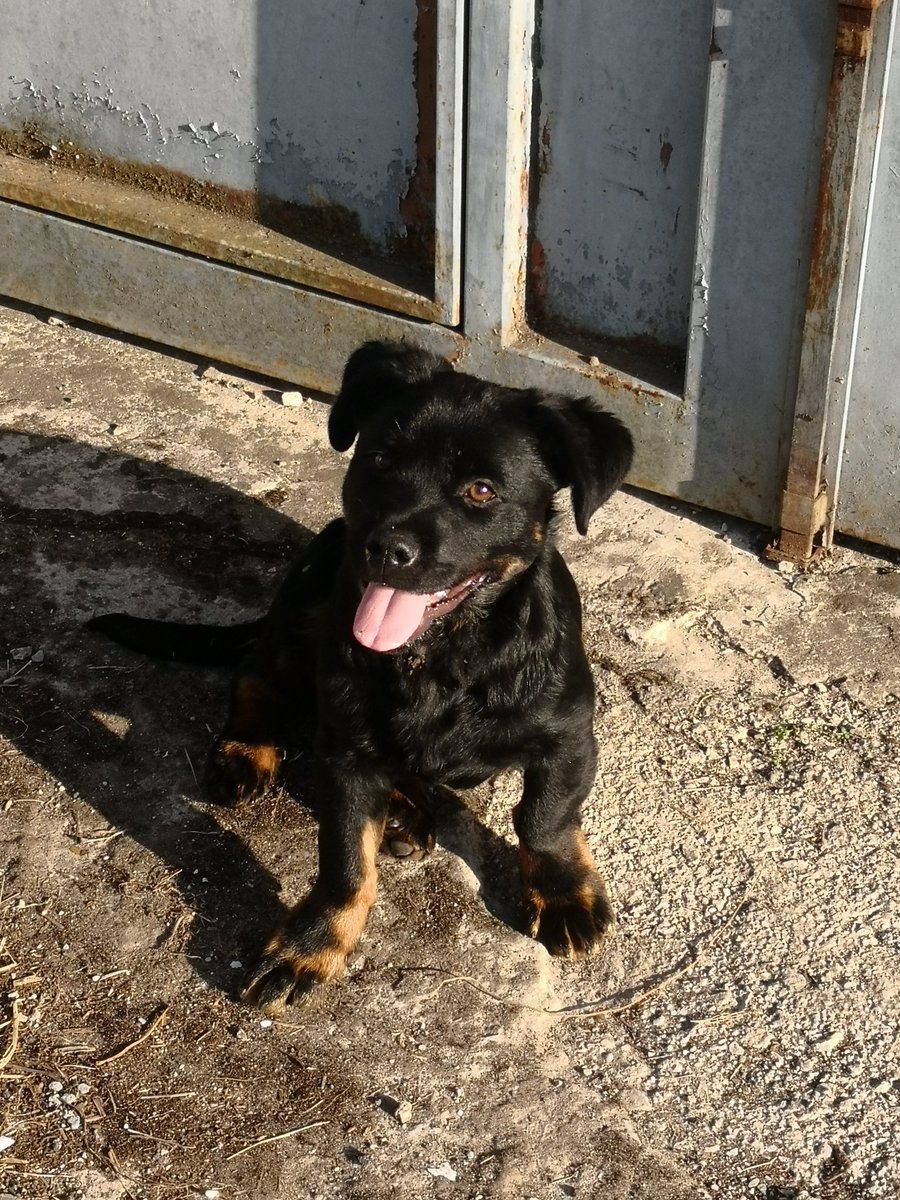 𝒱𝓁ℴ𝓈𝓉 tweet media