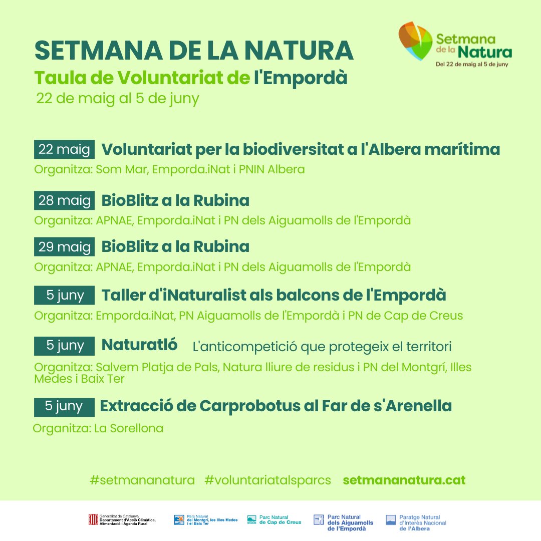 Gisfera tweet media