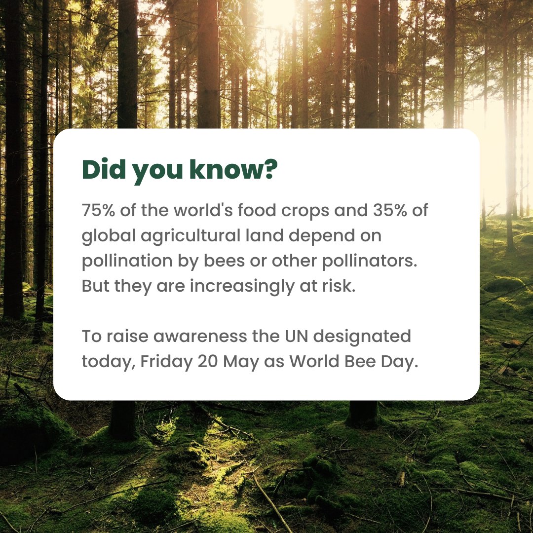 nativecard's tweet photo. "We all depend on pollinators" 🐝

Today is World Bees Day. Bees and all other pollinators such as butterflies, bats and hummingbirds, are increasingly endangered. 

Source: https://t.co/pI1ZEAoJob

#worldbeeday  #sustainability #businesscard #greentech #networking #nativecard https://t.co/LvtWTLpU3l