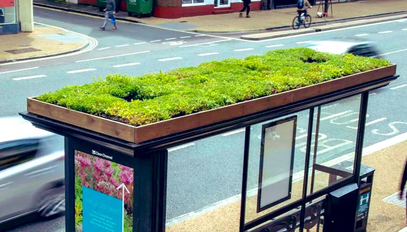 JoSmithDWT's tweet photo. Buzzing (!!) to launch the first #BeeBusStops in #Derby with @clearchanneluk @DerbyCC @WildlifeTrusts yesterday just in time for #WorldBeeDay.
Another key milestone in delivering our vision for a #WilderDerby
https://t.co/BY5lcb8VO6 https://t.co/tzeugSqghM