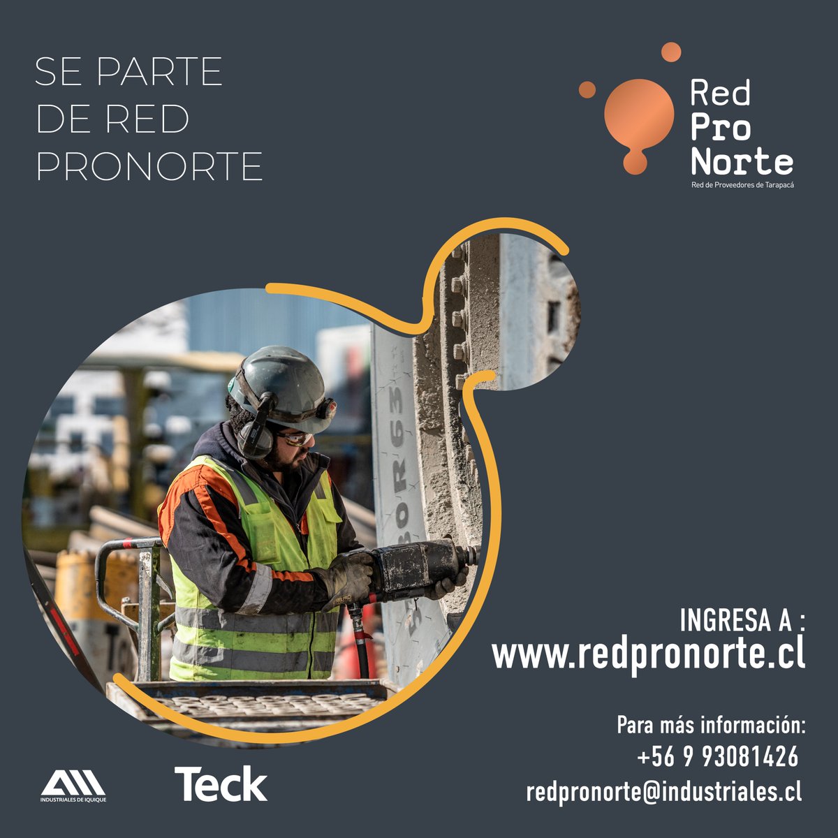 aiigremio's tweet photo. [#RedProNorte]  
Súmate a la plataforma @Red_ProNorte para la búsqueda de empresas de #Tarapacá, iniciativa de @TeckChile y @aiigremio, y que tiene como objetivo visibilizar la oferta de materiales y servicios en la región.
➕ información en 👉 https://t.co/YiSmoDxMyj https://t.co/A3ZuHV9m7k