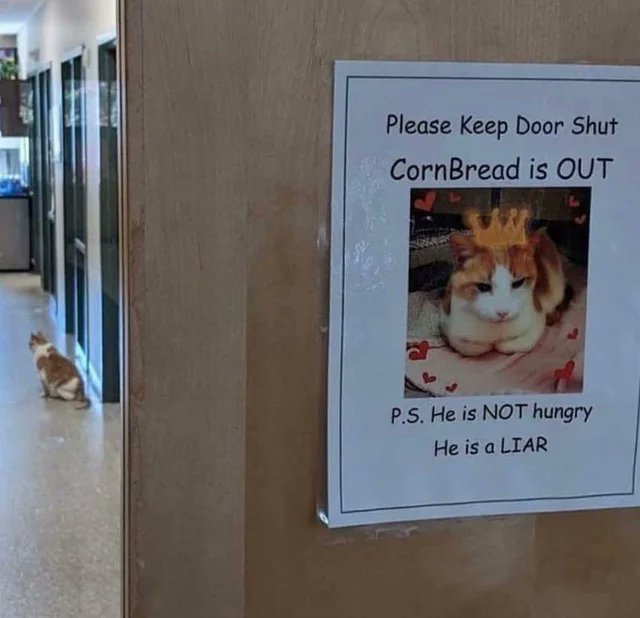 WholesomeMeme's tweet photo. https://t.co/vXA1e2afnT
