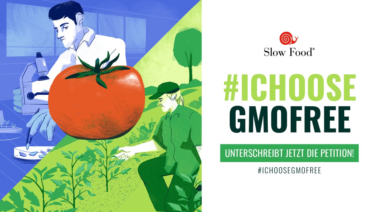 +80.000 people already signed our petition to keep #NewGMOs strictly regulated &amp; labelled! ✍️https://t.co/muotDbbmi3  Thanks to more and more groups calling on their politicians to stop fulfilling big agribusiness' wishlist 🤑  🇩🇪 now joining the movement #𝓘ChooseGMOfree👇 