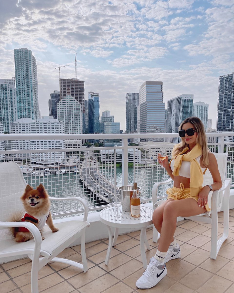 Mandarin Oriental (@mo_miami) on Twitter photo We love our furry fans, especially @reallouiethepom 🐶 #MandarinOrientalMiami
credit: <a href="/jasmine_tosh/">Jasmine Tosh Stewart</a>
#ImAFan #PetFriendlyHotel #MiamiDogs #PetFriendlyTravel We love our furry fans, especially @reallouiethepom 🐶 #MandarinOrientalMiami
credit: <a href="/jasmine_tosh/">Jasmine Tosh Stewart</a>
#ImAFan #PetFriendlyHotel #MiamiDogs #PetFriendlyTravel